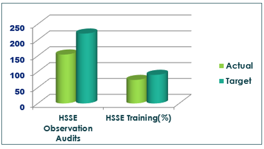 HSE2.jpg